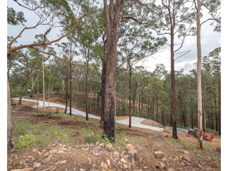 Lot 2, 106 Wongawallen Road, Tamborine Mountain QLD 4272