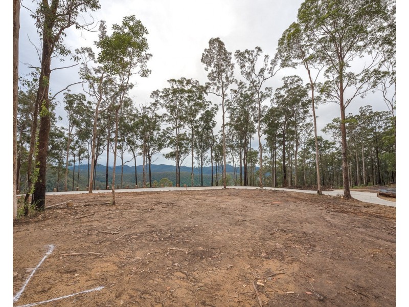 Lot 2, 106 Wongawallen Road, Tamborine Mountain QLD 4272