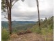 Lot 2, 106 Wongawallen Road, Tamborine Mountain QLD 4272