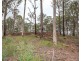 Lot 2, 106 Wongawallen Road, Tamborine Mountain QLD 4272