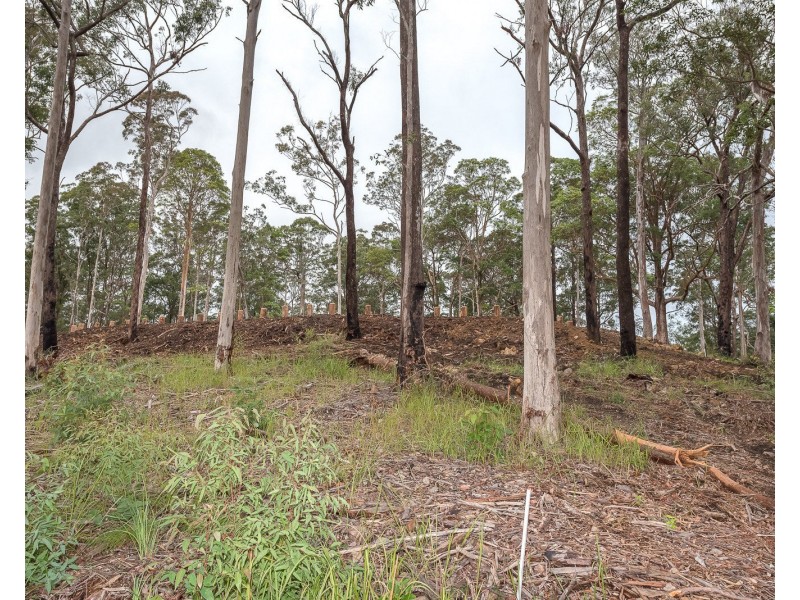 Lot 2, 106 Wongawallen Road, Tamborine Mountain QLD 4272