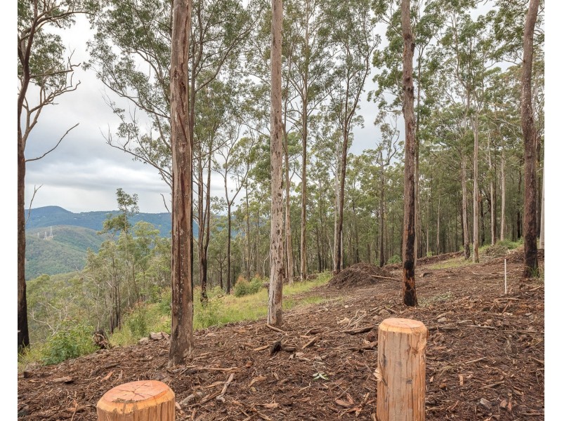 Lot 2, 106 Wongawallen Road, Tamborine Mountain QLD 4272