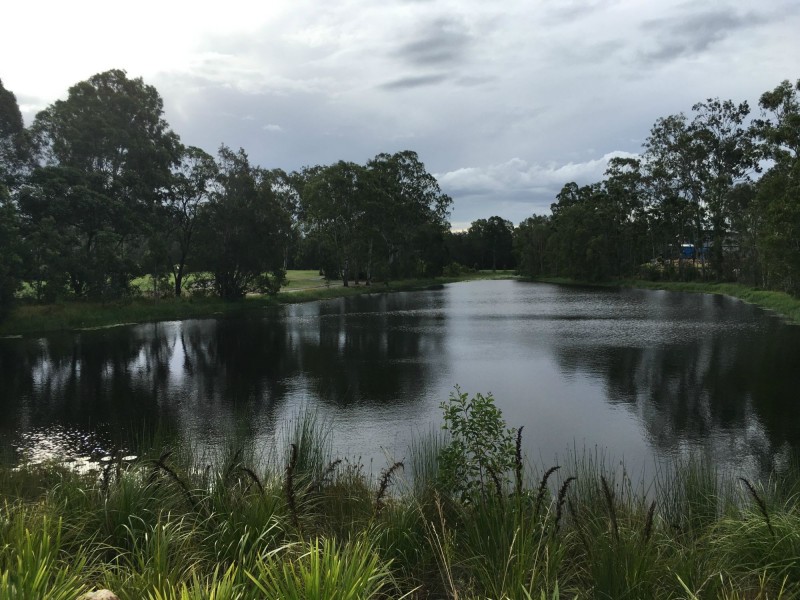 Pimpama QLD 4209
