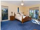 Tamborine Mountain QLD 4272