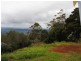 Tamborine Mountain QLD 4272