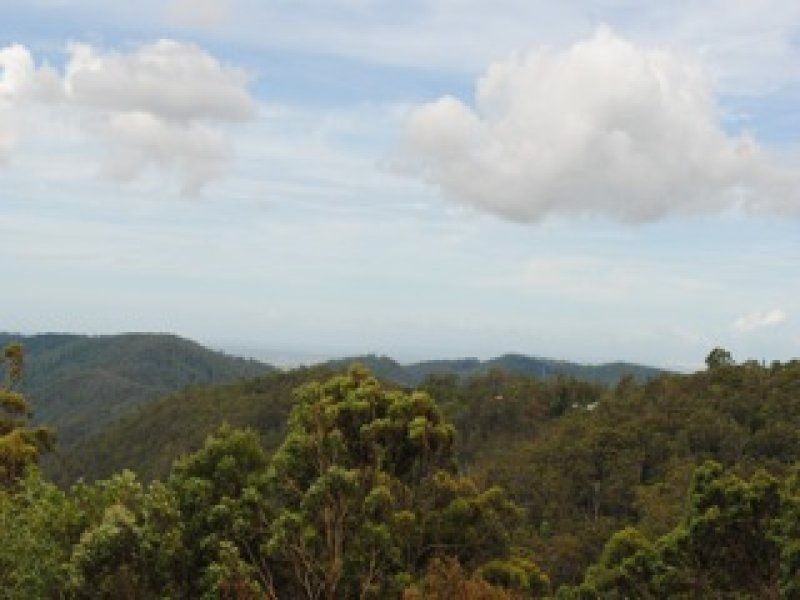 Tamborine Mountain QLD 4272