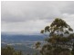 Tamborine Mountain QLD 4272