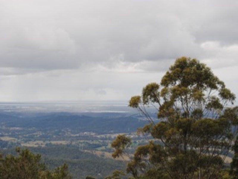 Tamborine Mountain QLD 4272