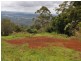 Tamborine Mountain QLD 4272