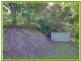 Tamborine Mountain QLD 4272