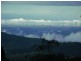 Tamborine Mountain QLD 4272