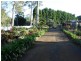 Tamborine Mountain QLD 4272