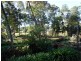 Tamborine Mountain QLD 4272