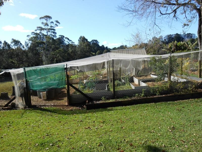 Tamborine Mountain QLD 4272