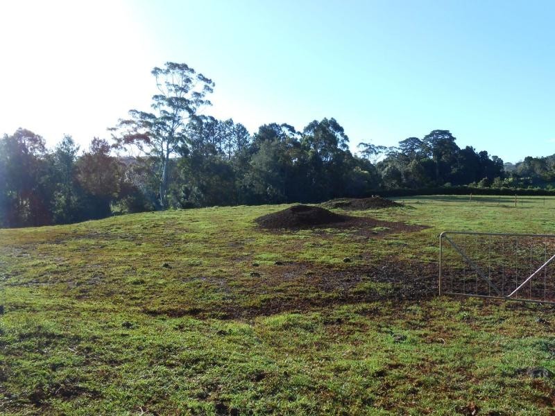 Tamborine Mountain QLD 4272
