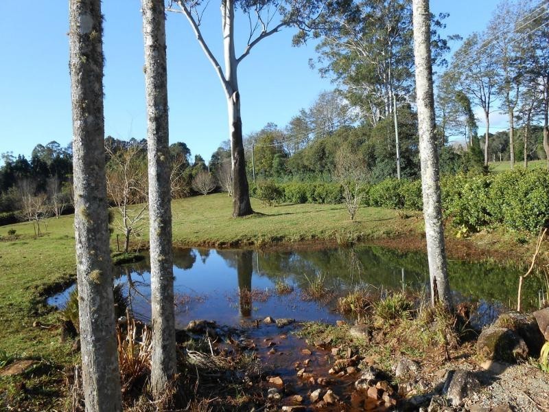 Tamborine Mountain QLD 4272