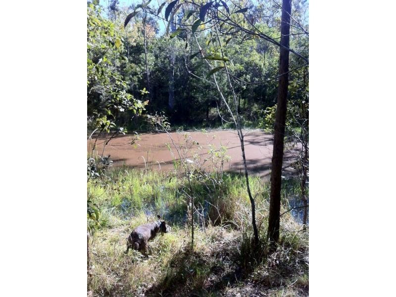 Cedar Creek QLD 4207