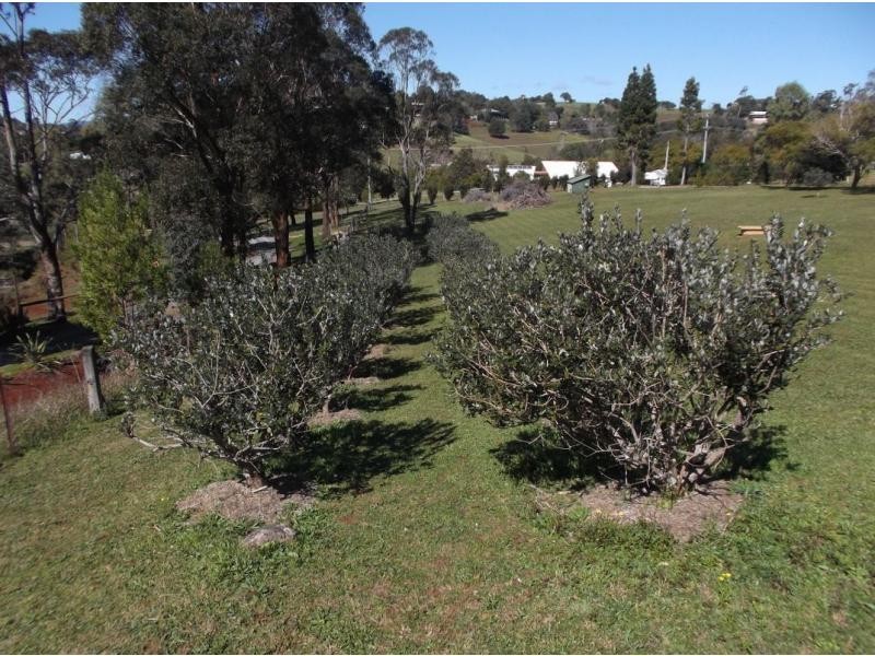 Beechmont QLD 4211