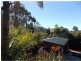 Beechmont QLD 4211