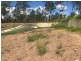 Lot 10 Pelling Place, Deebing Heights QLD 4306