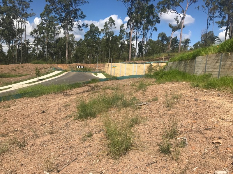 Lot 10 Pelling Place, Deebing Heights QLD 4306