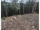 Lot 3, 106 Wongawallen Road, Tamborine Mountain QLD 4272