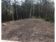 Lot 3, 106 Wongawallen Road, Tamborine Mountain QLD 4272