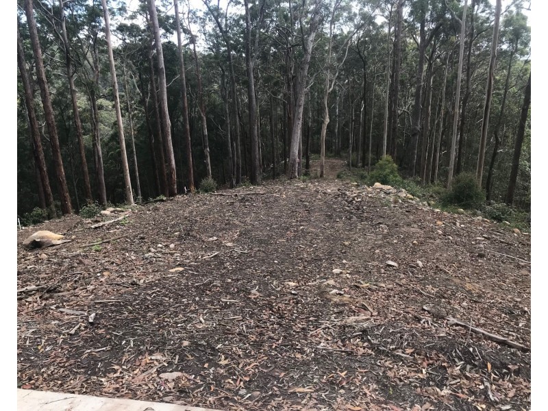 Lot 3, 106 Wongawallen Road, Tamborine Mountain QLD 4272