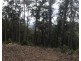 Lot 3, 106 Wongawallen Road, Tamborine Mountain QLD 4272