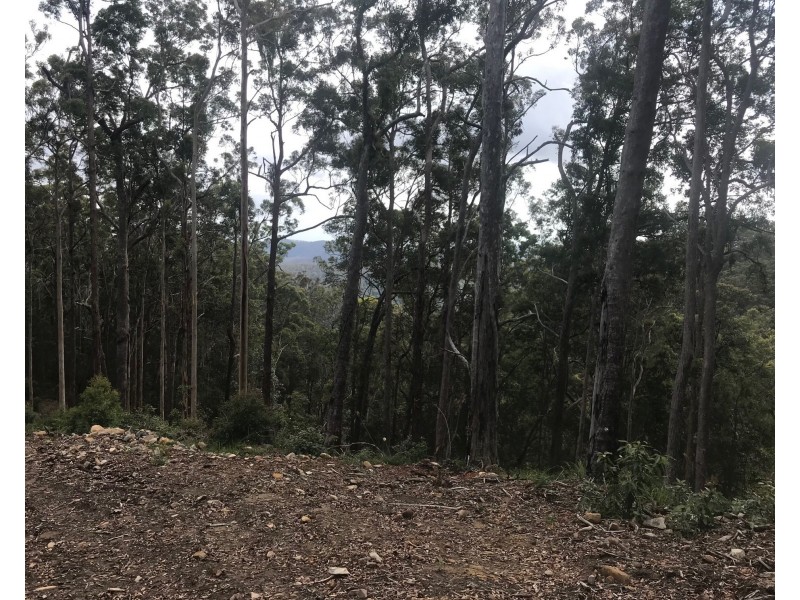 Lot 3, 106 Wongawallen Road, Tamborine Mountain QLD 4272