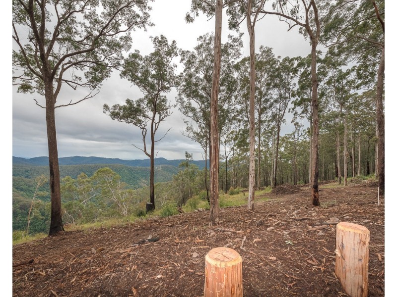 Lot 3, 106 Wongawallen Road, Tamborine Mountain QLD 4272