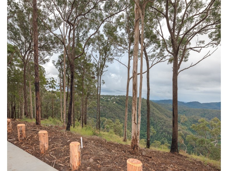 Lot 4, 106 Wongawallen Road, Tamborine Mountain QLD 4272