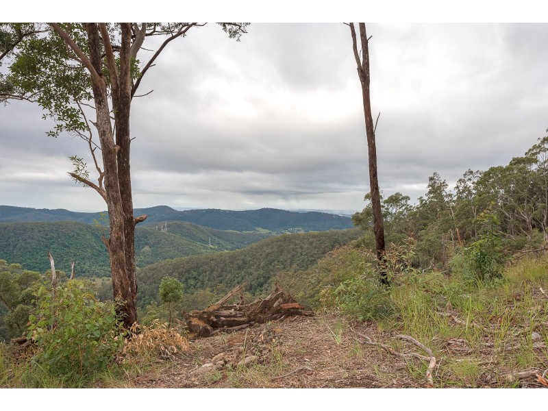 Lot 4, 106 Wongawallen Road, Tamborine Mountain QLD 4272