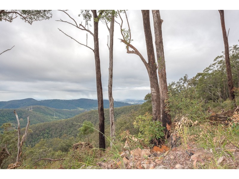 Lot 4, 106 Wongawallen Road, Tamborine Mountain QLD 4272