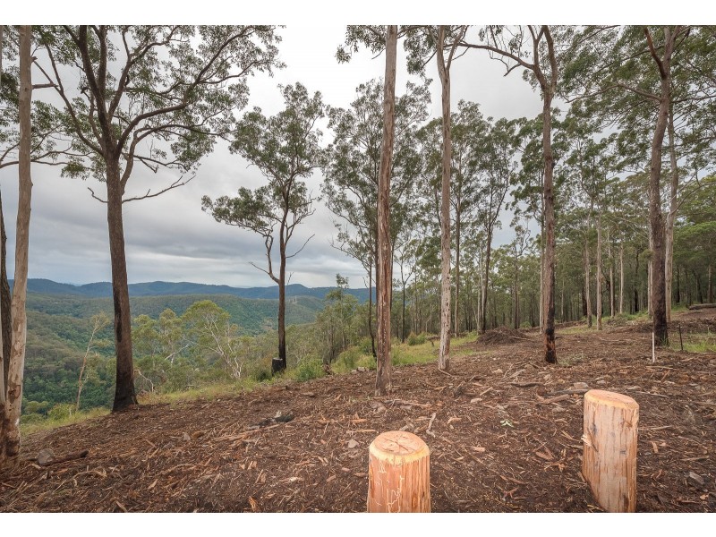 Lot 4, 106 Wongawallen Road, Tamborine Mountain QLD 4272