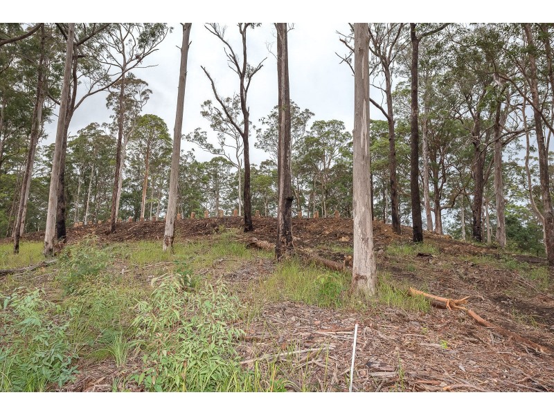 Lot 4, 106 Wongawallen Road, Tamborine Mountain QLD 4272