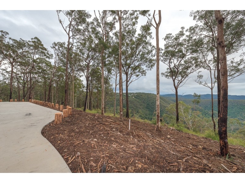 Lot 4, 106 Wongawallen Road, Tamborine Mountain QLD 4272