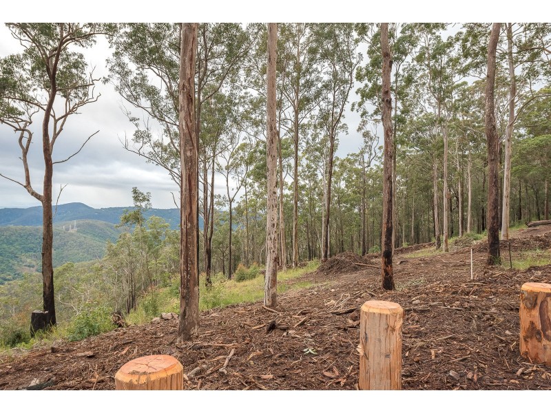 Lot 4, 106 Wongawallen Road, Tamborine Mountain QLD 4272