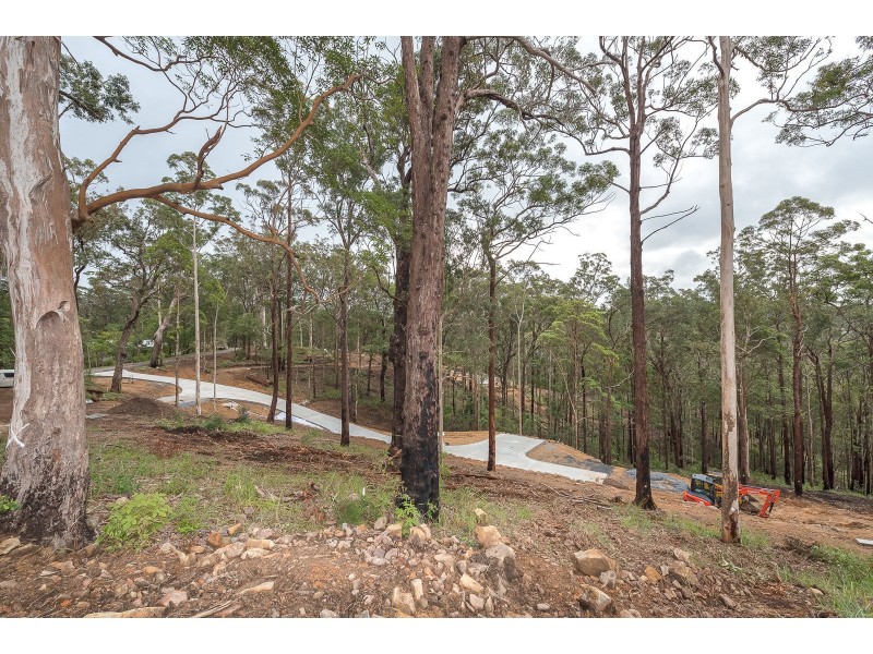 Lot 7, 106 Wongawallen Road, Tamborine Mountain QLD 4272