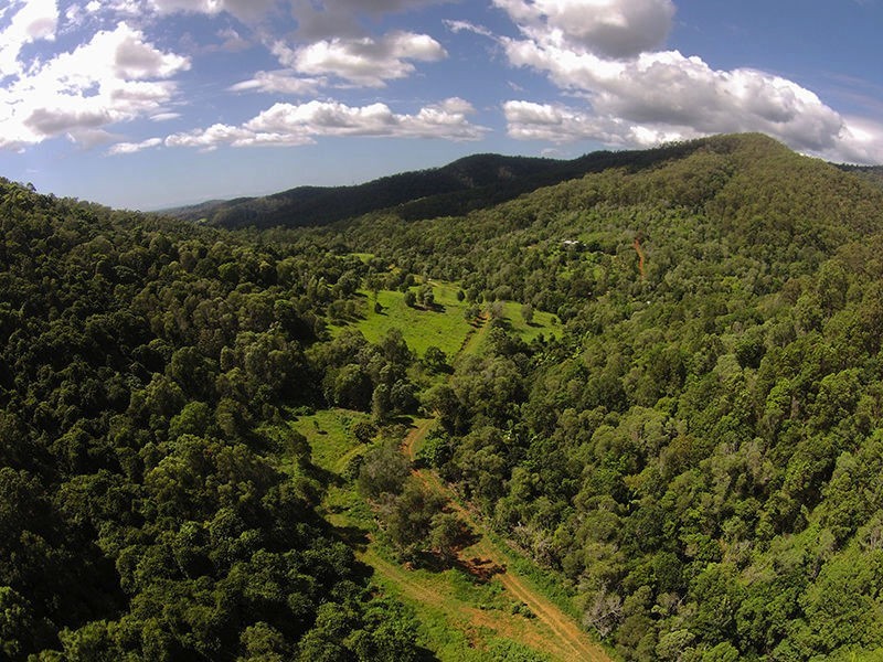 Wongawallan QLD 4210