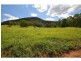 Wongawallan QLD 4210