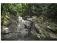 Wongawallan QLD 4210