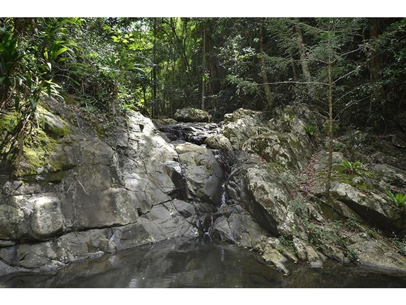 Wongawallan QLD 4210