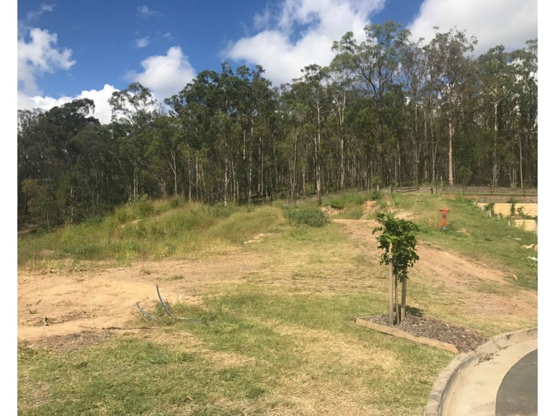 Lot 53 Tamarind Place, Pimpama QLD 4209