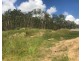 Lot 53 Tamarind Place, Pimpama QLD 4209