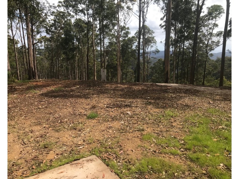 Lot 5, 106 Wongawallan Road, Tamborine Mountain QLD 4272
