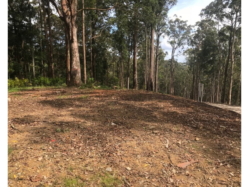 Lot 5, 106 Wongawallan Road, Tamborine Mountain QLD 4272