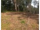 Lot 5, 106 Wongawallan Road, Tamborine Mountain QLD 4272