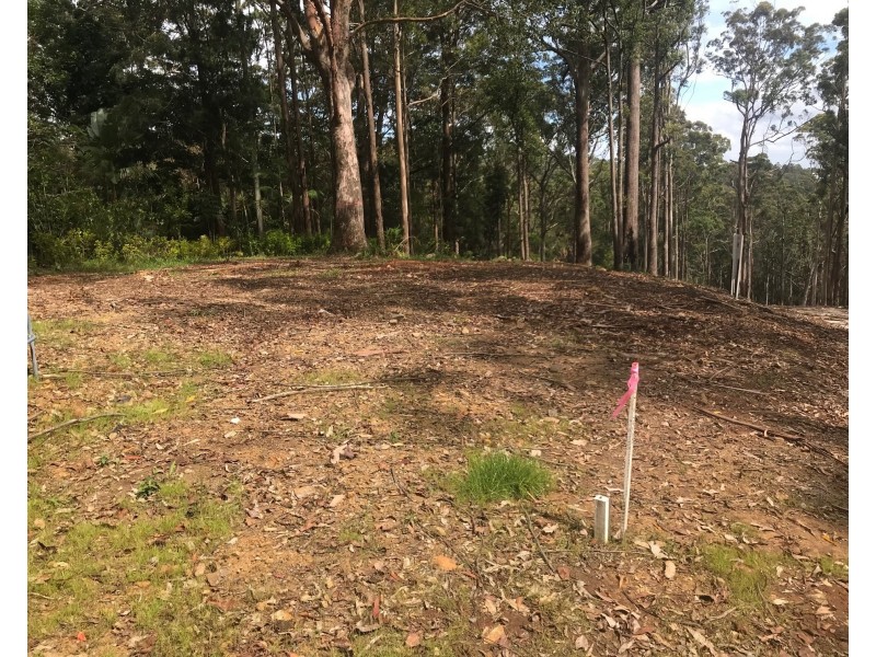 Lot 5, 106 Wongawallan Road, Tamborine Mountain QLD 4272