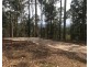 Lot 5, 106 Wongawallan Road, Tamborine Mountain QLD 4272